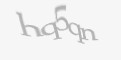 Қорғаныс коды